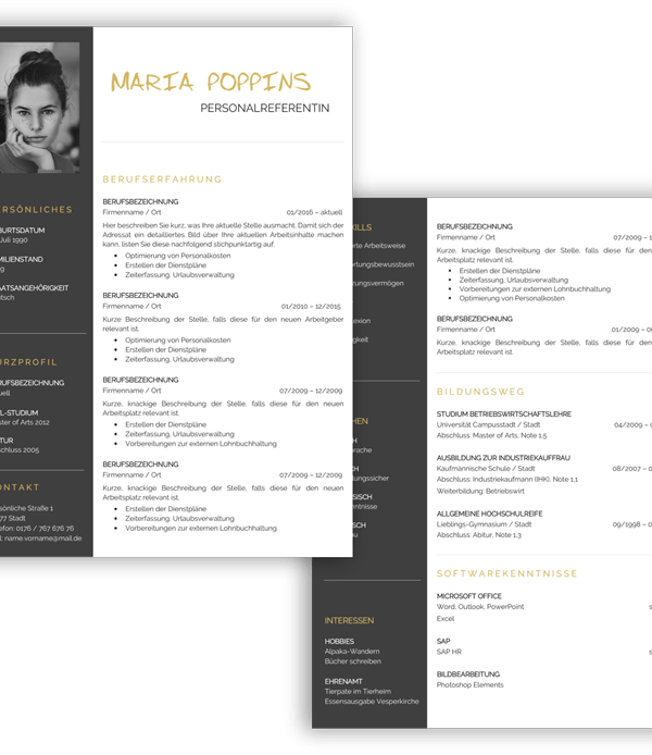 Lebenslaufvorlage modern Download kaufen