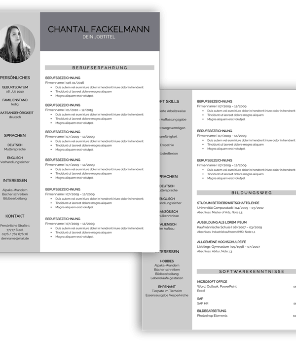 Lebenslaufvorlage modern kaufen